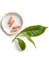 Tegreen Capsules